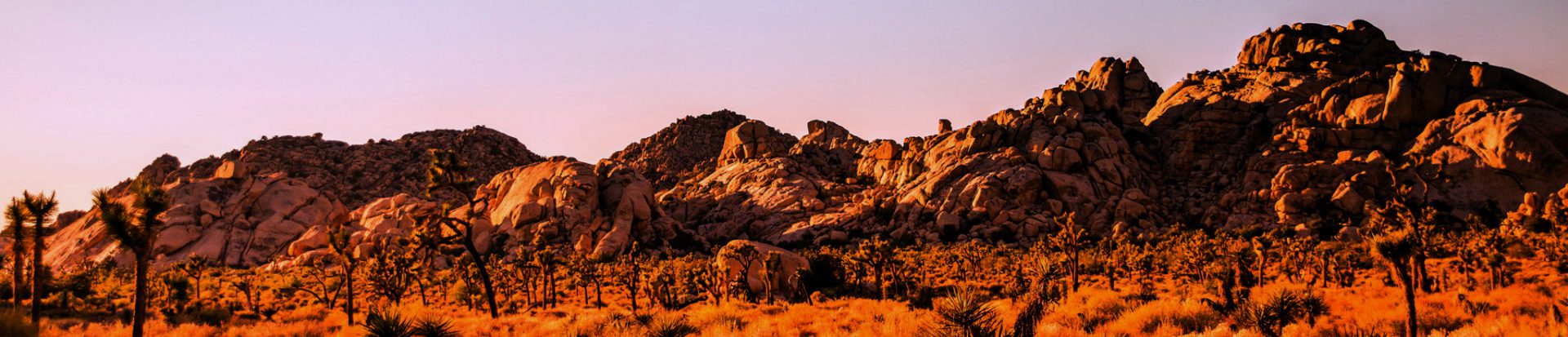 Joshua Tree National Park